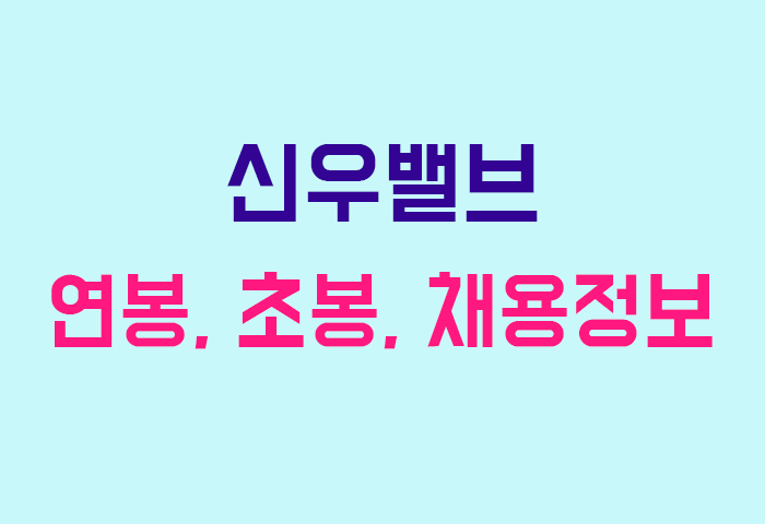 신우밸브 연봉