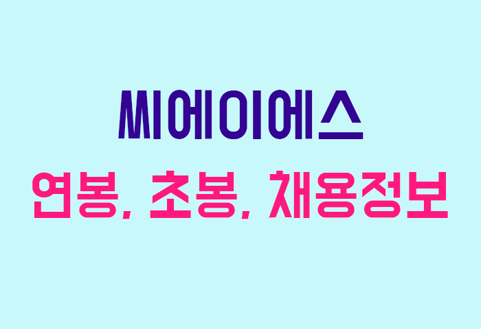 씨에이에스 연봉