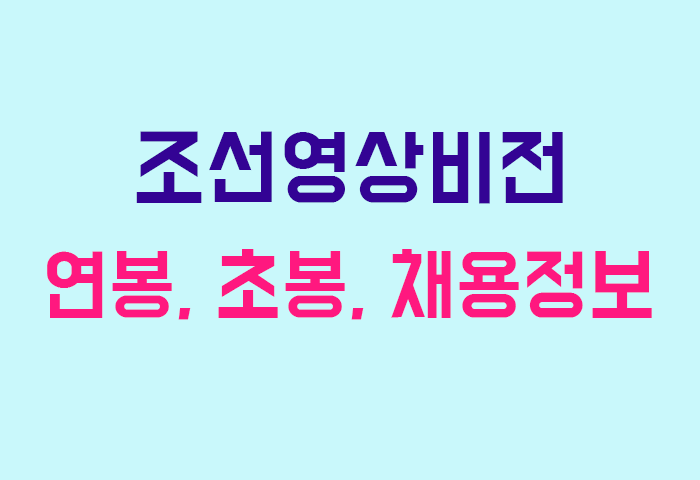 조선영상비전 연봉