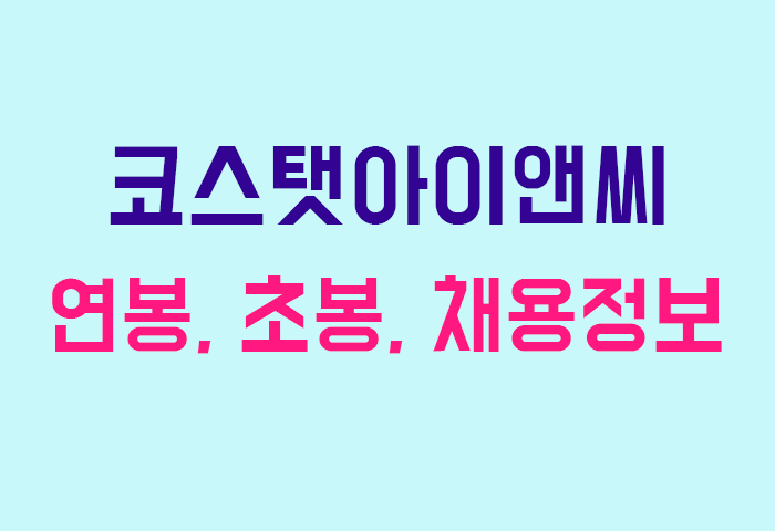 코스탯아이앤씨 연봉