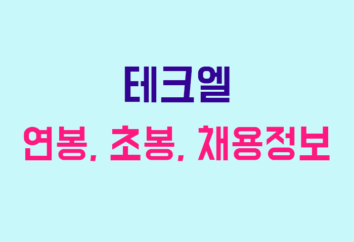 테크엘 연봉