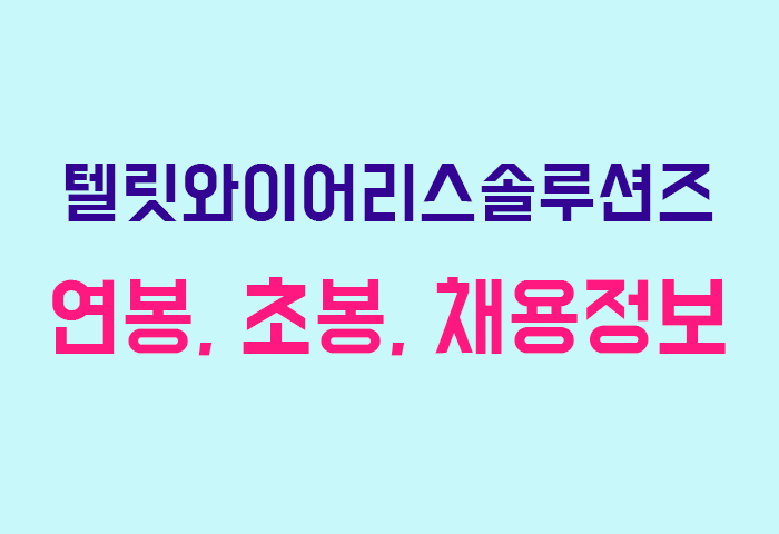 텔릿와이어리스솔루션즈 연봉
