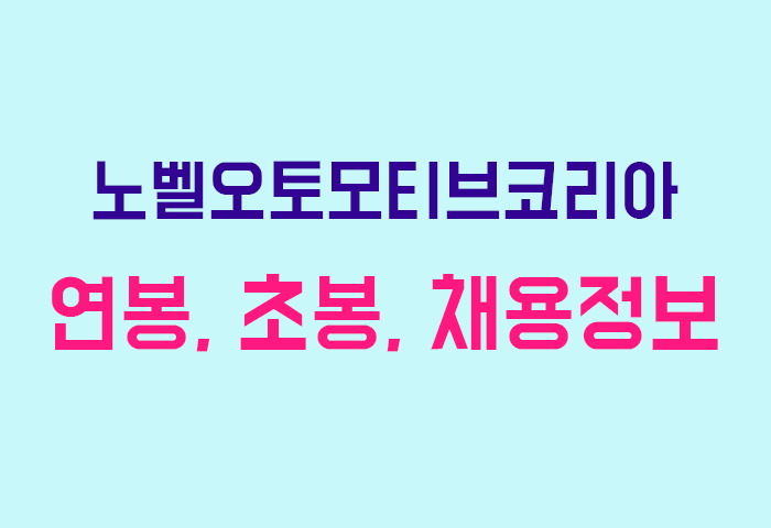 노벨오토모티브코리아 연봉