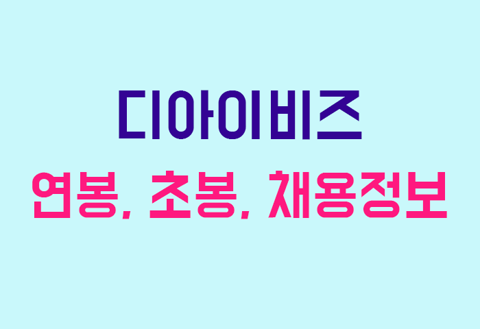 디아이비즈 연봉