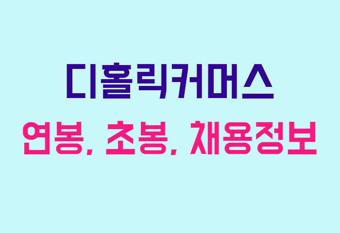 디홀릭커머스 연봉