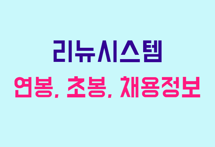 리뉴시스템 연봉