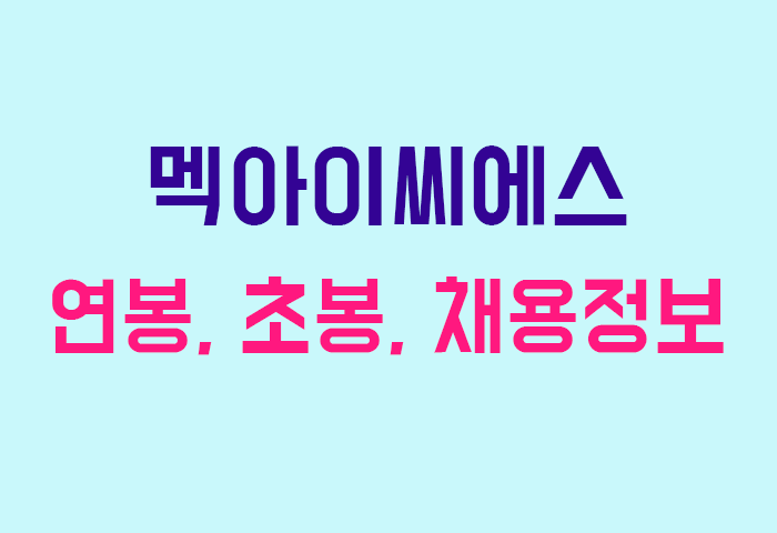 멕아이씨에스 연봉