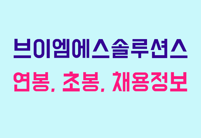 브이엠에스솔루션스 연봉
