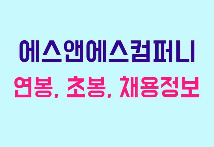 에스앤에스컴퍼니 연봉