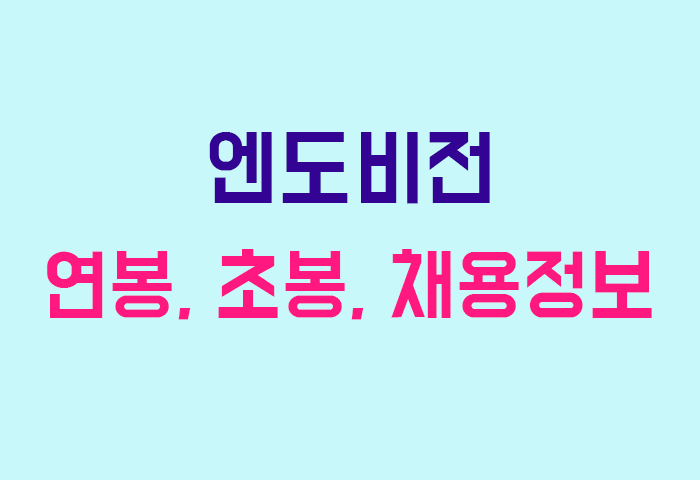 엔도비전 연봉