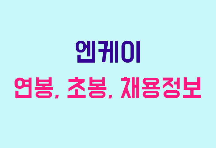 엔케이 연봉