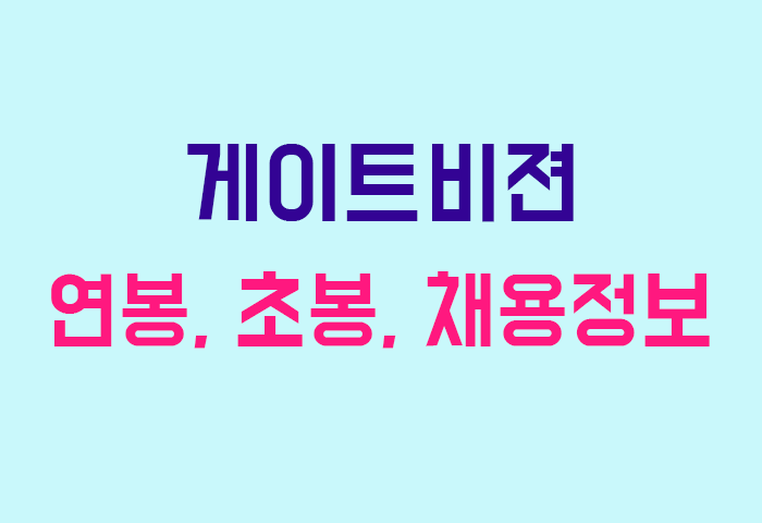 게이트비젼 연봉