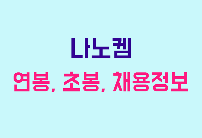 나노켐 연봉