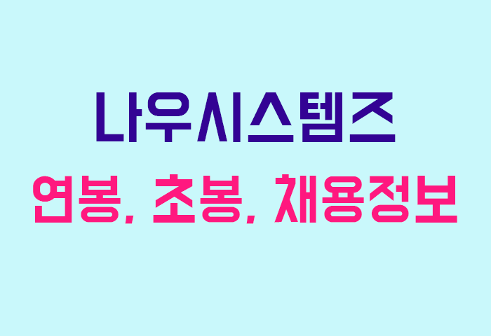나우시스템즈 연봉