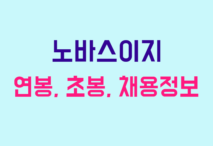 노바스이지 연봉