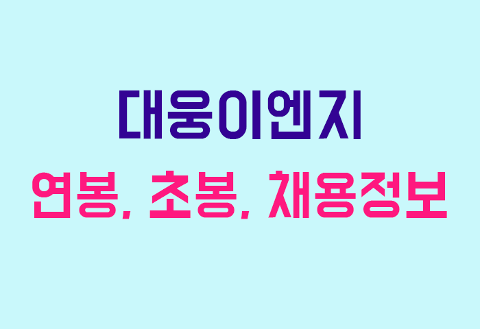 대웅이엔지 연봉