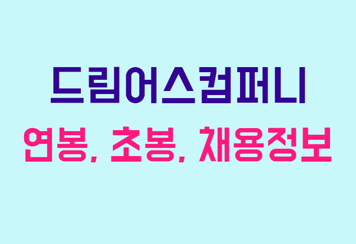 드림어스컴퍼니 연봉