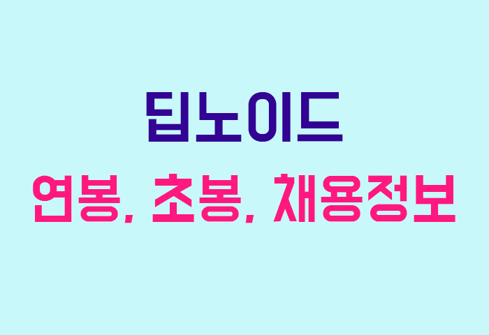 딥노이드 연봉