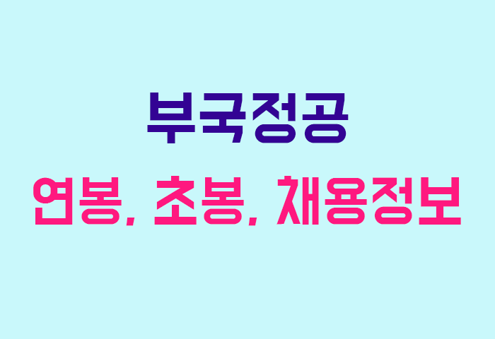 부국정공 연봉