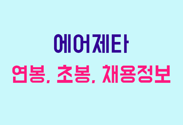 에어제타 연봉