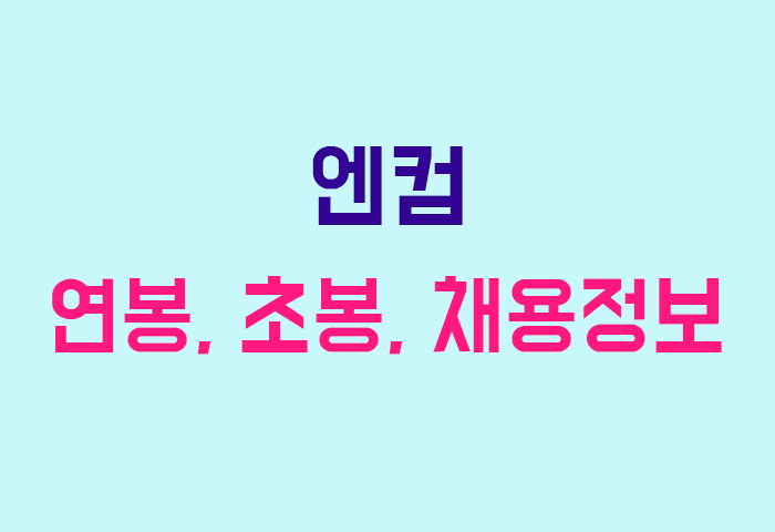 엔컴 연봉