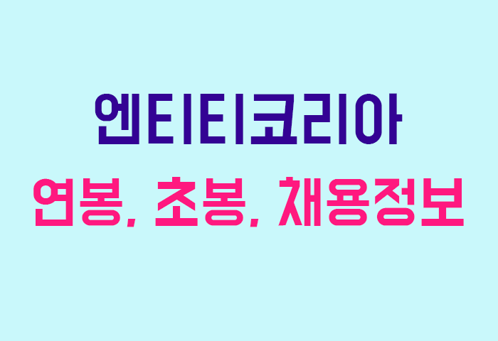 엔티티코리아 연봉