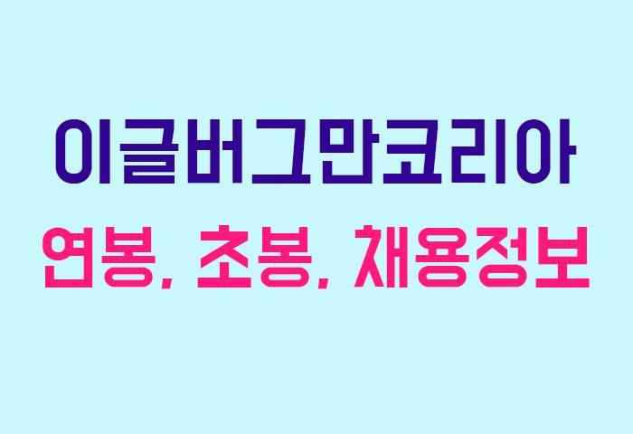 이글버그만코리아 연봉