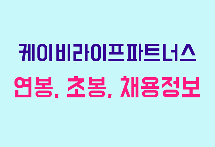케이비라이프파트너스 연봉
