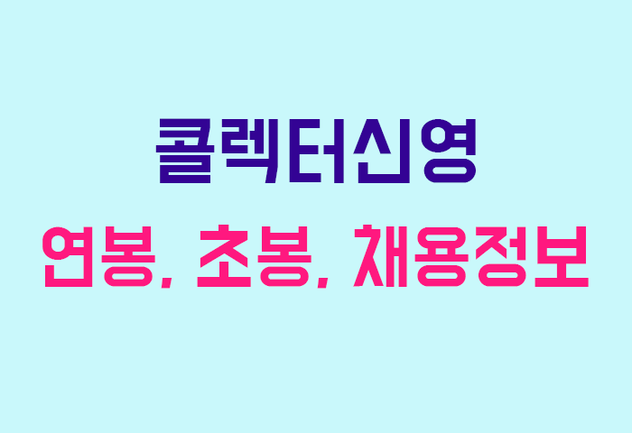 콜렉터신영 연봉