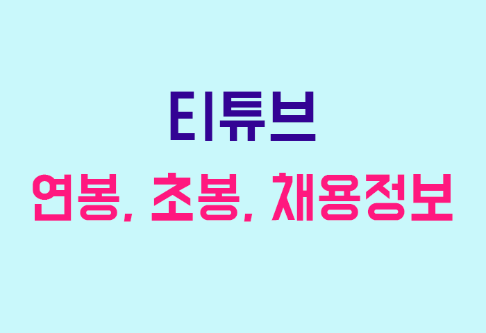 티튜브 연봉