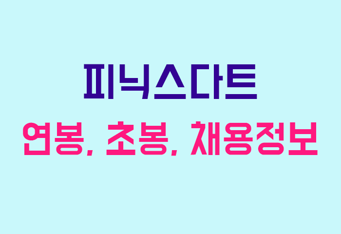 피닉스다트 연봉