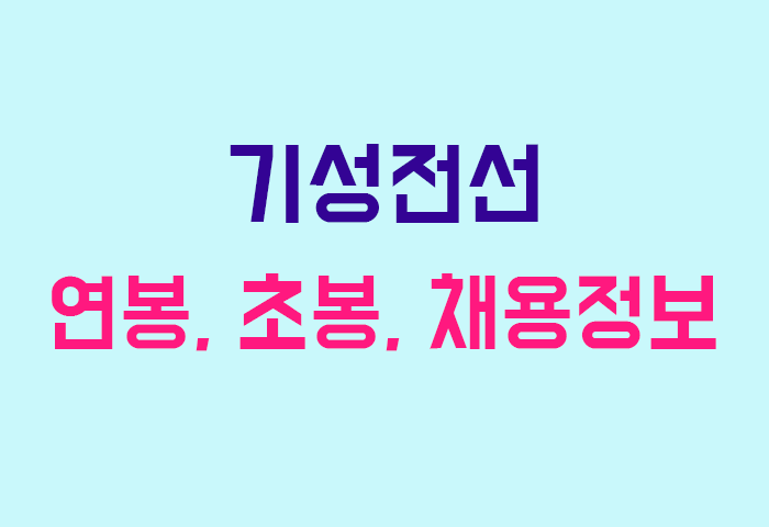기성전선 연봉