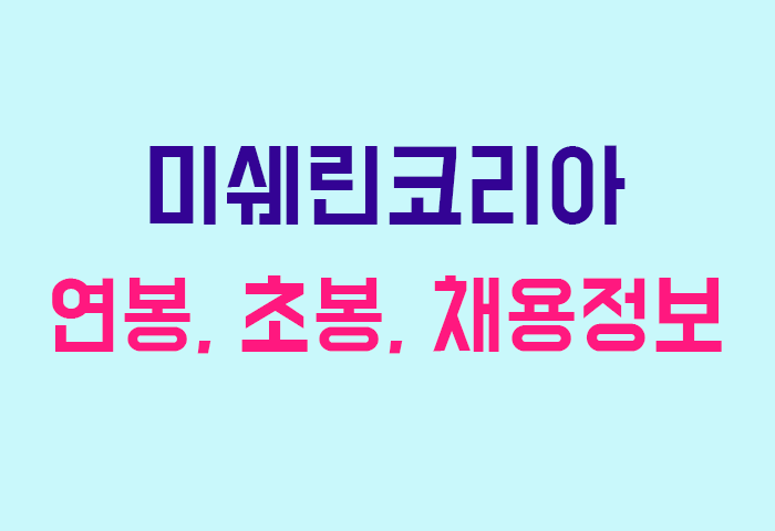 미쉐린코리아 연봉