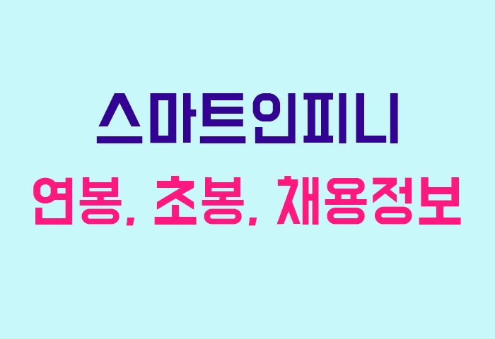 스마트인피니 연봉