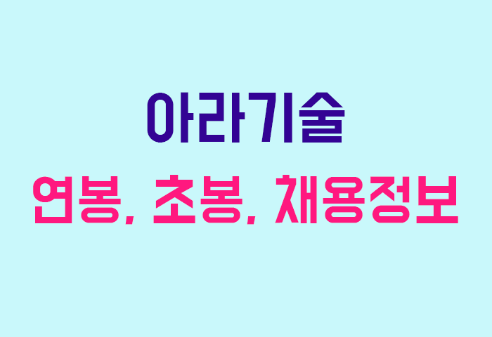 아라기술 연봉