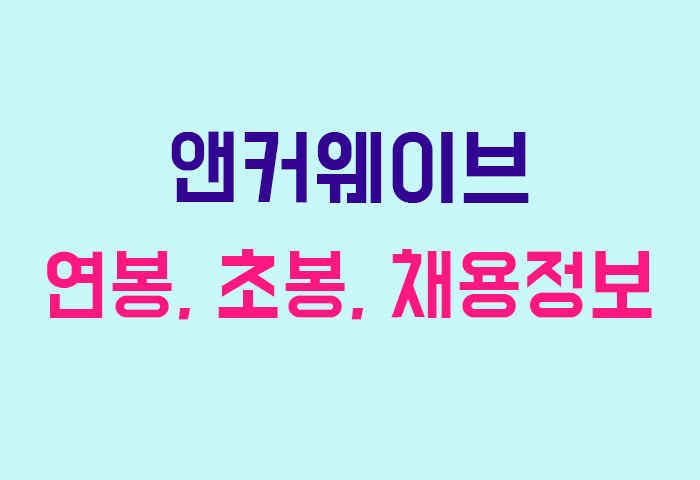 앤커웨이브 연봉