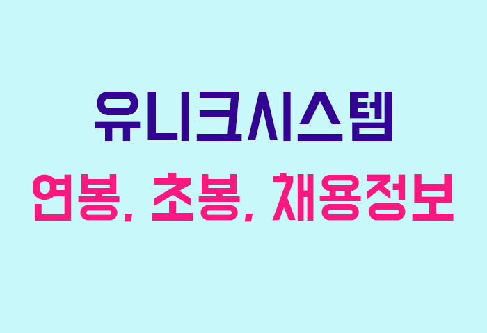 유니크시스템 연봉
