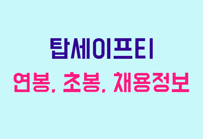 탑세이프티 연봉