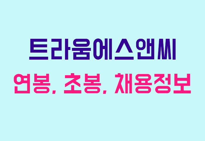 트라움에스앤씨 연봉