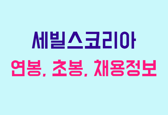 세빌스코리아 연봉