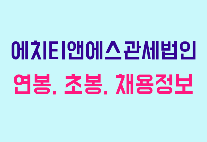 에치티앤에스관세법인 연봉