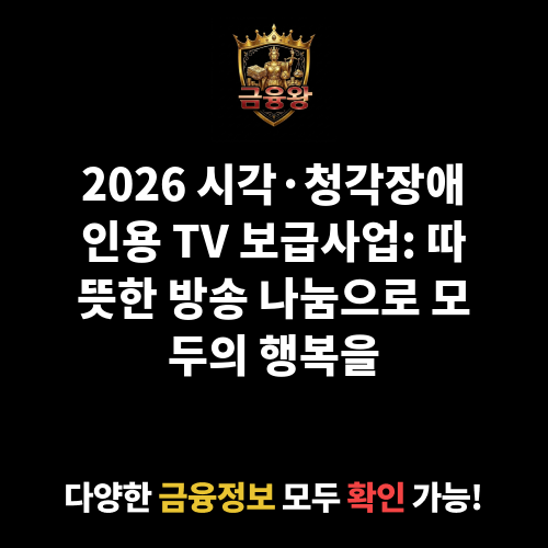 시각·청각장애인용 TV 보급사업