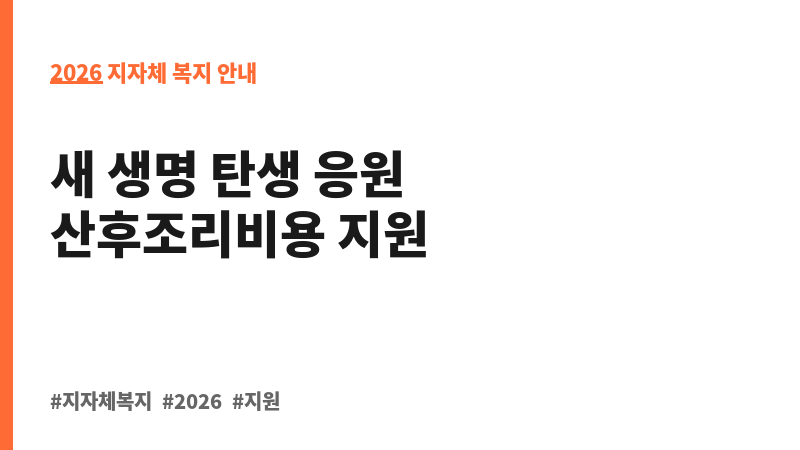 산후조리비용 지원 보조 이미지 2