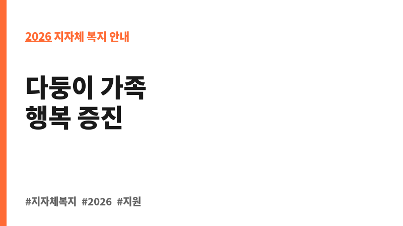 다둥이 차량렌탈 지원사업 보조 이미지 2