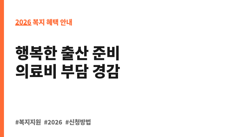 청소년산모 임신·출산 의료비 지원 보조 이미지 2