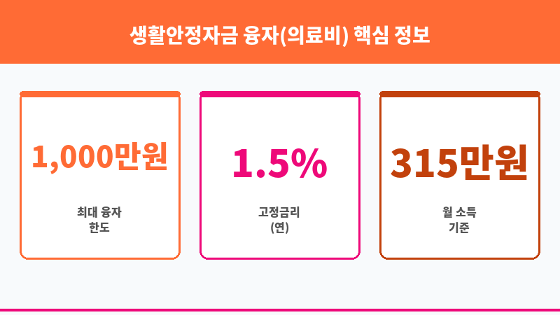 생활안정자금 융자(의료비) 보조 이미지 3