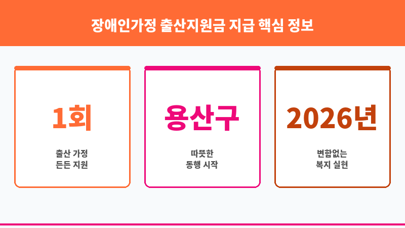 장애인가정 출산지원금 지급 보조 이미지 3