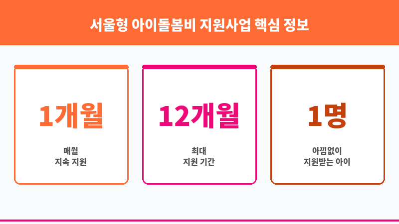 서울형 아이돌봄비 지원사업 보조 이미지 3