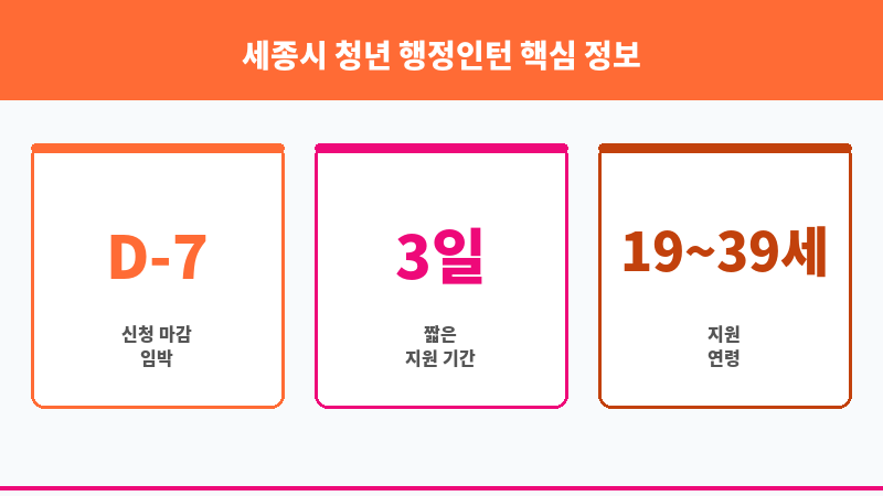세종시 청년 행정인턴 보조 이미지 3
