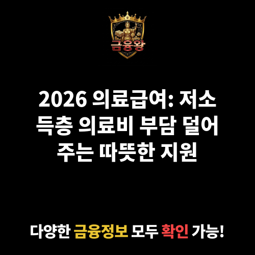의료급여(의료급여)